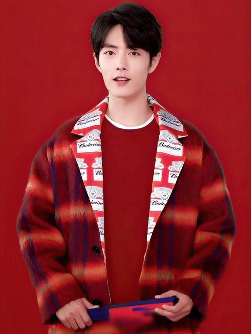 肖战的百威最新爆料,揭秘百威品牌背后的故事与情感共鸣”